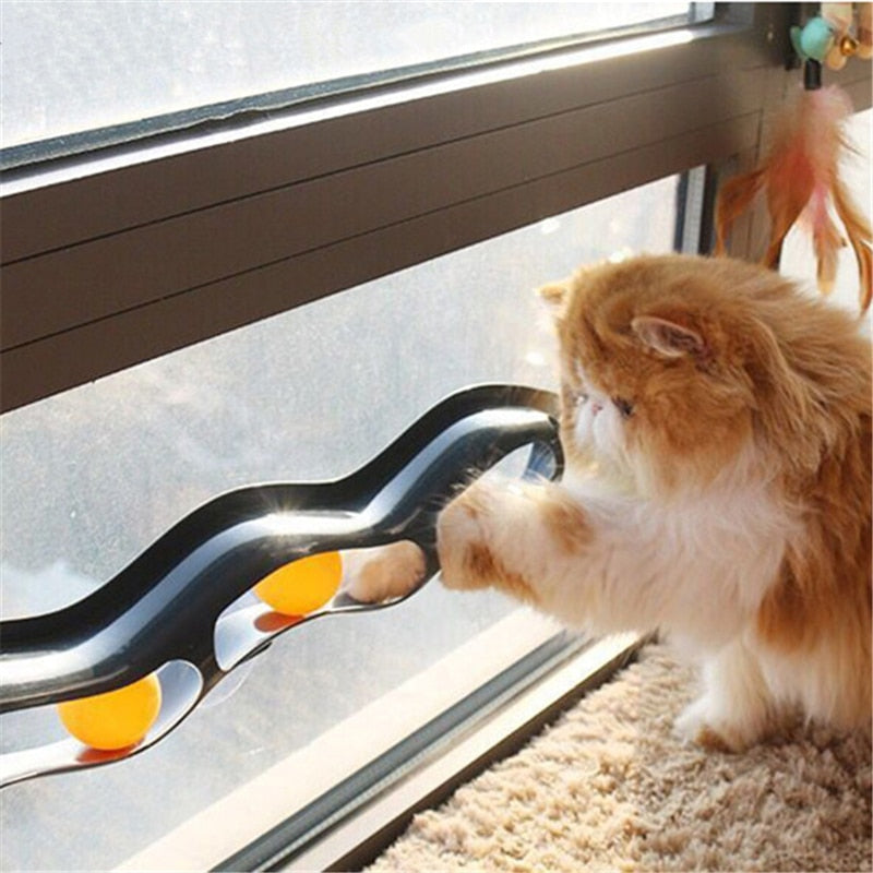 Cat Track Window Sucker Toy