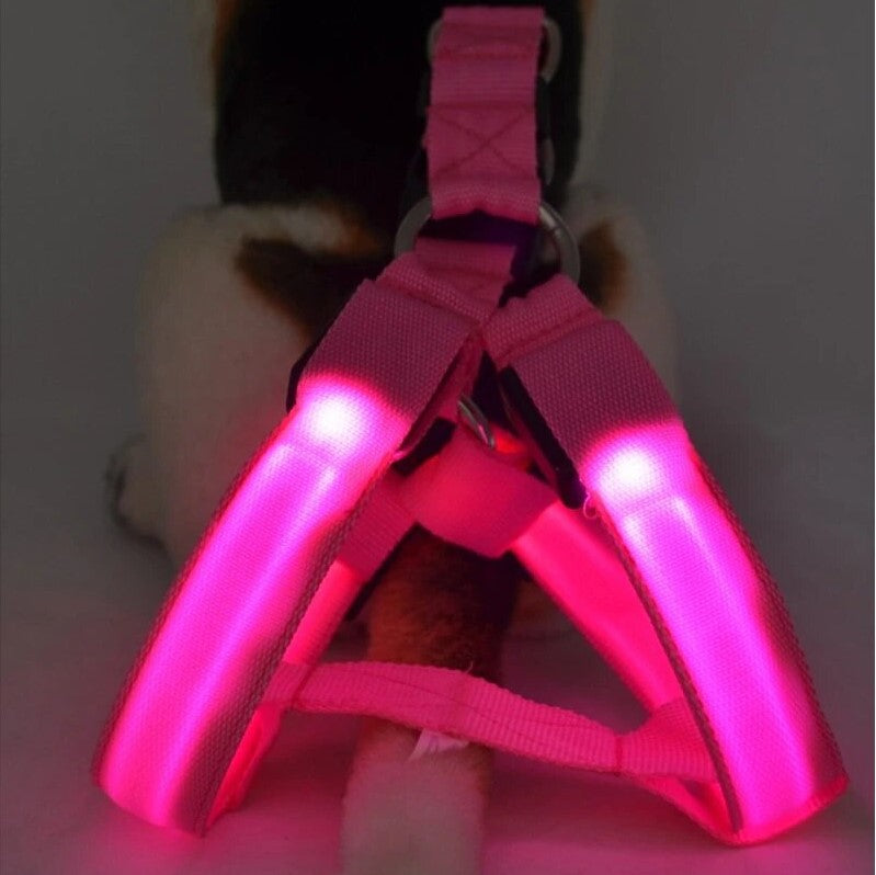 LED Dog Harness